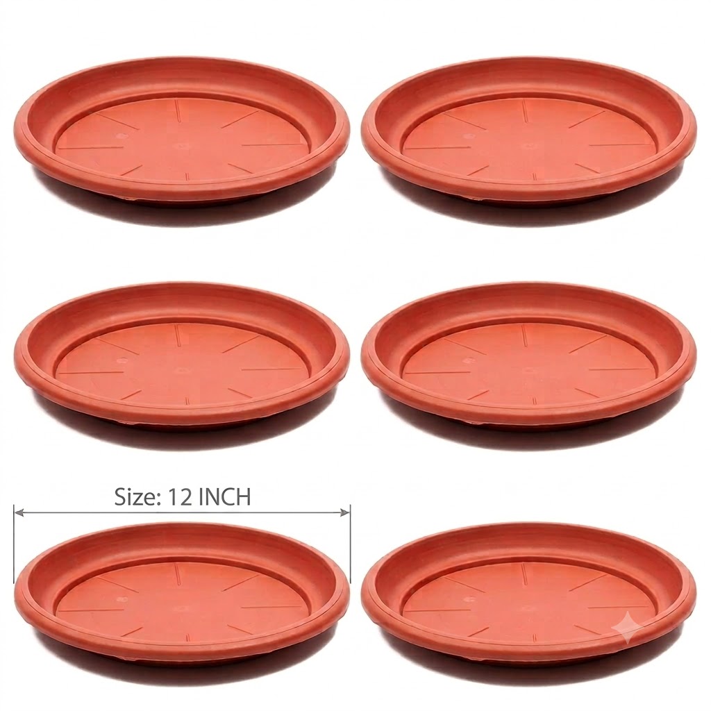 Flower Pot & Plates